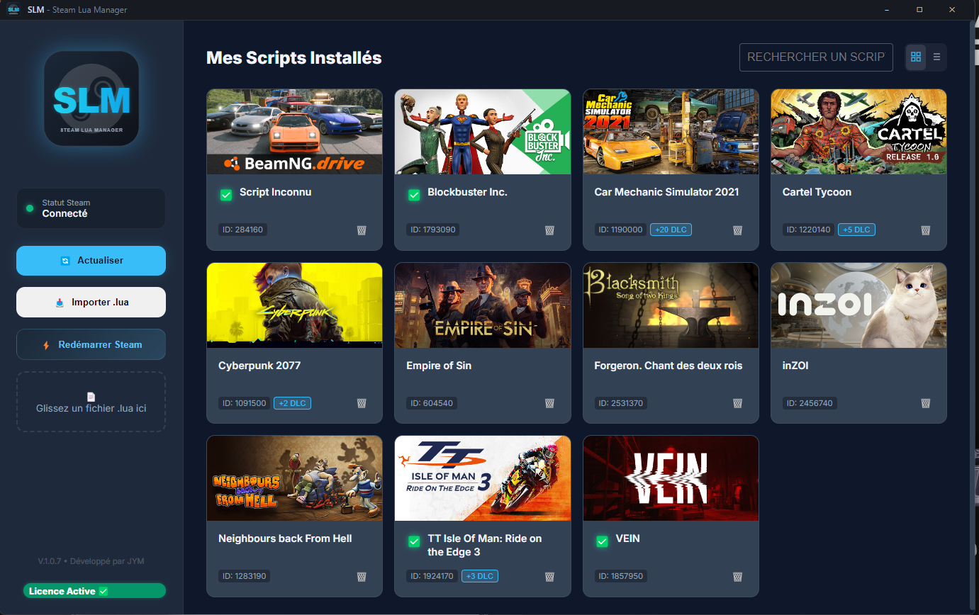 Interface principale de SteamLuaManager
